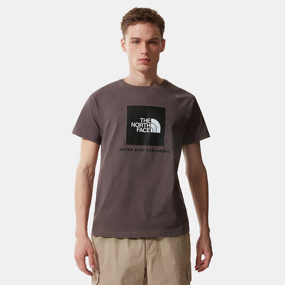 The North Face Raglan Redbox Ανδρικα T Shirt - Μωβ (RPMB07365)